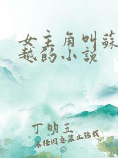 女主角叫苏暖穿越的小说