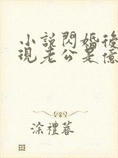 小说闪婚后,发现老公是亿万总裁免费阅读