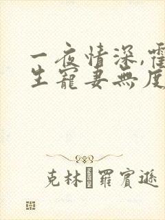 一夜情深,霍先生宠妻无度全本下载