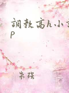 调教高h小说np
