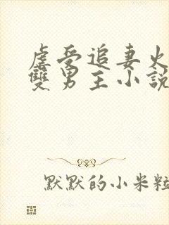 虐受追妻火葬场双男主小说