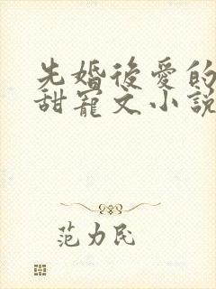 先婚后爱的短篇甜宠文小说