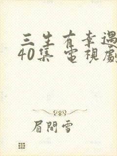 三生有幸遇上你40集 电视剧免费观看