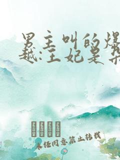 男主叫的爆笑穿越:王妃是朵白莲花小说