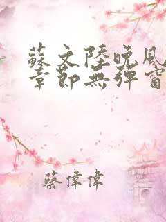 苏文陆晚风最新章节无弹窗笔趣阁