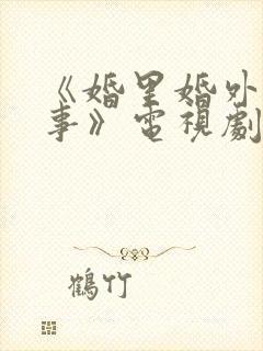 《婚里婚外那些事》电视剧