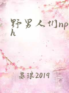 野男人们np高h