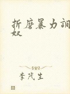 折磨暴力调教男奴