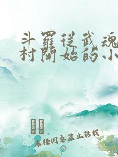 斗罗从武魂白兰村开始的小说