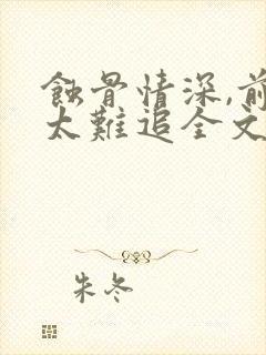 蚀骨情深,前妻太难追全文免费阅读