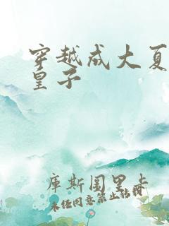 穿越成大夏国九皇子