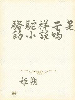 骆驼祥子是老舍的小说吗