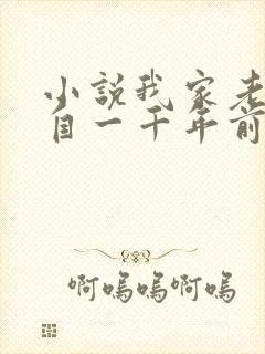 小说我家老婆来自一千年前txt下载