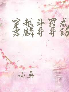 穿越斗罗成为唐舞麟哥哥的小说