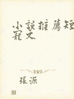 小说推荐短篇甜宠文