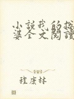 小说我的总裁老婆全文阅读