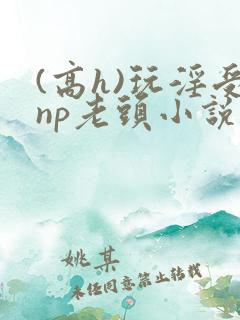 (高h)玩淫受np老头小说