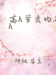 高h荤爽肉欲文h