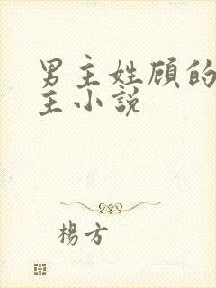 男主姓顾的双男主小说