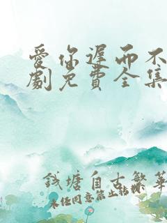 爱你迟而不晚短剧免费全集免费播放