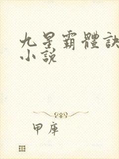 九星霸体诀龙尘小说