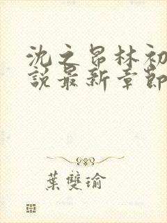 沈之昂林初窈小说最新章节免费阅读