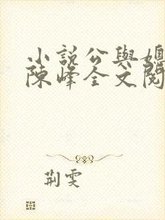 小说公与媳瑶瑶陈峰全文阅读