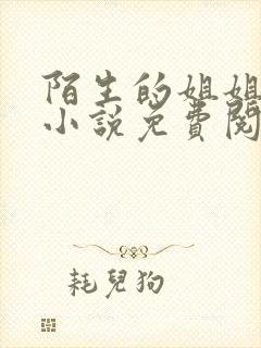 陌生的姐姐gl小说免费阅读全文