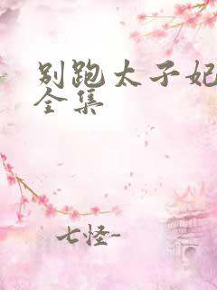 别跑太子妃短剧全集