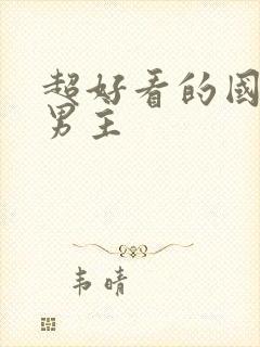 超好看的国漫双男主