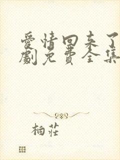 爱情回来了电视剧免费全集