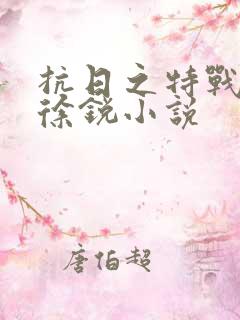 抗日之特战兵王徐锐小说