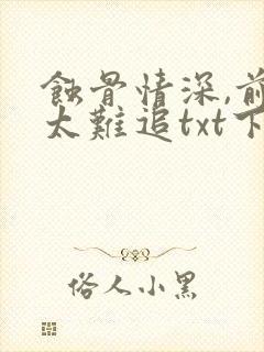 蚀骨情深,前妻太难追txt下载