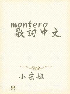 montero 歌词中文