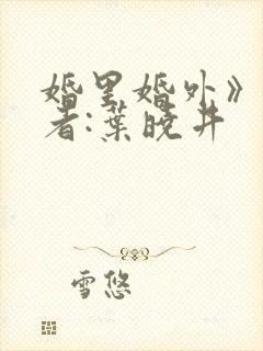 婚里婚外》 作者:叶晓井