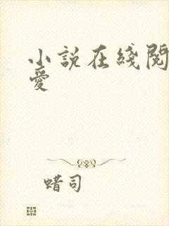 小说在线阅读终爱