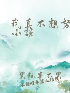 我真不想努力了小说