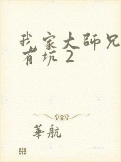 我家大师兄脑子有坑 2