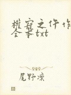 权宠之仵作医妃全本txt