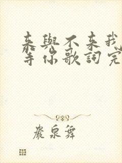 来与不来我都在等你歌词完整版