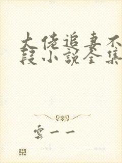 大佬追妻不择手段小说全集阅读