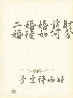 二婚婚前财产离婚后如何分配