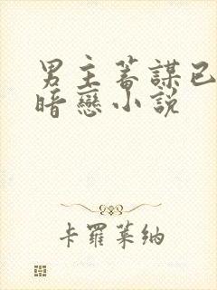 男主蓄谋已久的暗恋小说