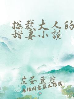 总裁大人的影后甜妻小说