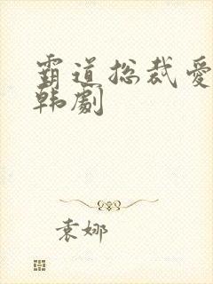 霸道总裁爱上我韩剧