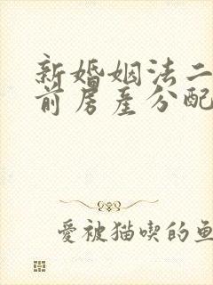 新婚姻法二婚婚前房产分配