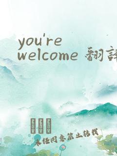 you're welcome 翻译成中文
