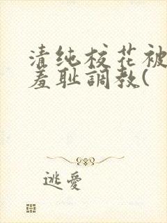 清纯校花被民工羞耻调教(