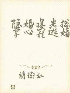 隐婚曝光总裁的掌心宠逃婚了