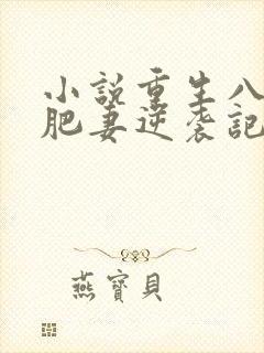 小说重生八零:肥妻逆袭记